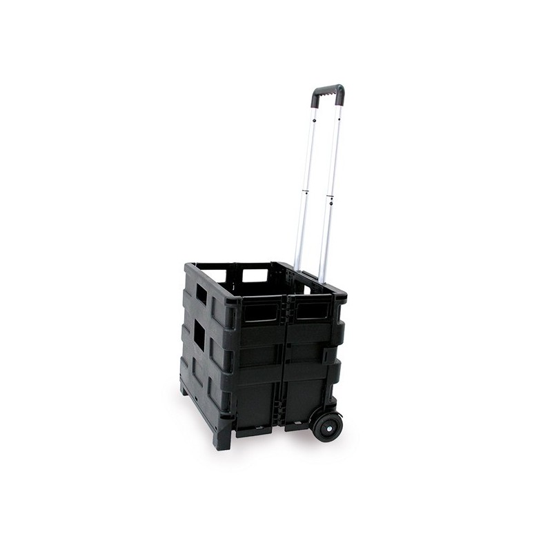 Carrello pieghevole con cassa in plastica portata max 25kg