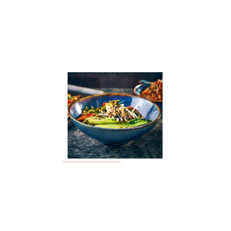 Noodle Bowl Aqua Blue Terra Porcelain